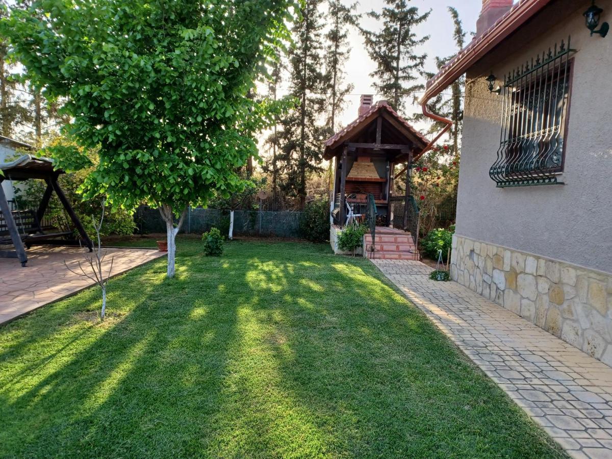 Villa Katerina Nea Kallikrateia 外观 照片